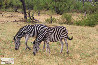 Höhepunkte der Garden Route 2027
