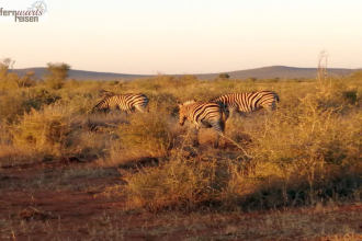 Höhepunkte der Garden Route 2027