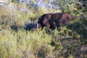 Höhepunkte der Garden Route 2027