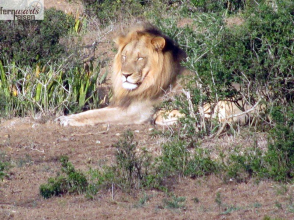 Höhepunkte der Garden Route 2027