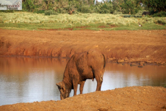 Kenia Samburu bis Amboseli 