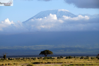 Kenia Samburu bis Amboseli 