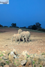 Kenia Samburu bis Amboseli 