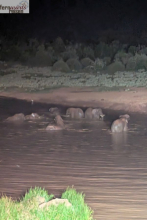 Kenia Samburu bis Amboseli 