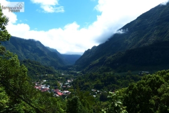 La Reunion mit Marla