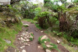 La Reunion mit Marla