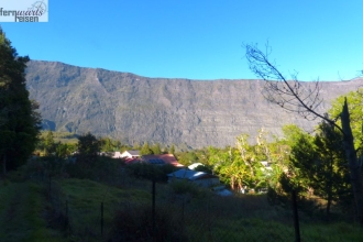 La Reunion mit Marla