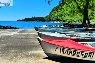 La Reunion mit Marla