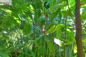 La Reunion mit Marla