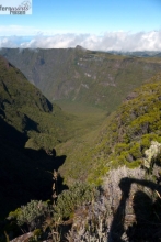 La Reunion mit Marla