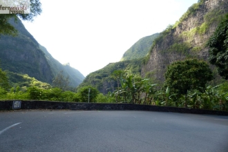 La Reunion mit Marla