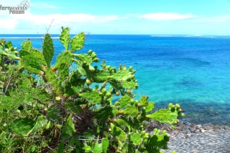 Mauritius Verlängerung