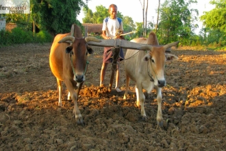 Nepal Annapurna und Chitwan