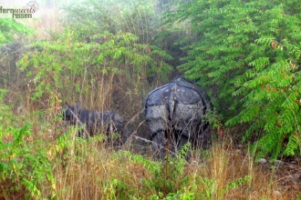 Nepal Annapurna und Chitwan