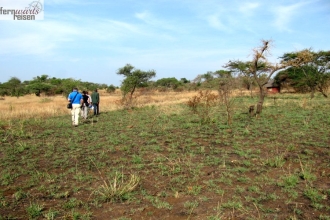Tansania Safari