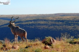 Wandersafri Südafrika