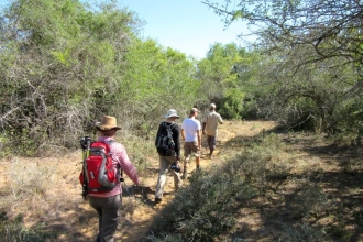 Wandersafri Südafrika