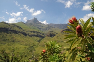 Wandersafri Südafrika