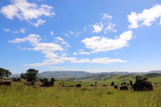 Wandersafri Südafrika