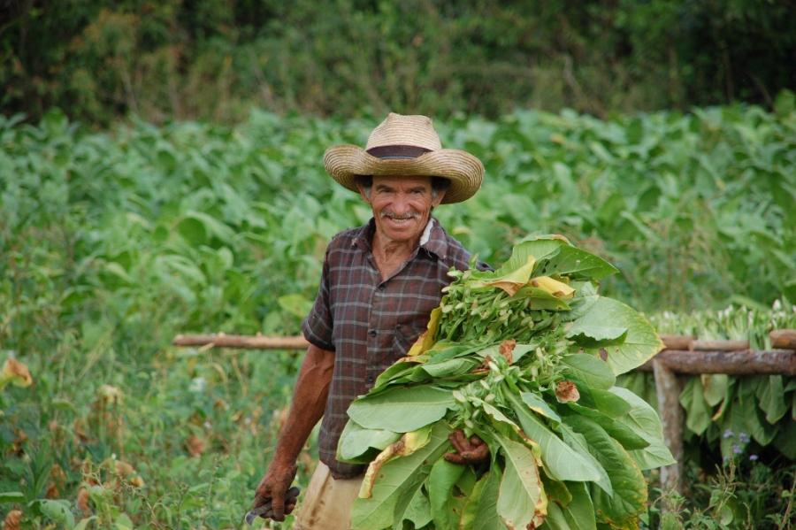 Besuchen Sie einen Tabakbauer im Tal von Vinales