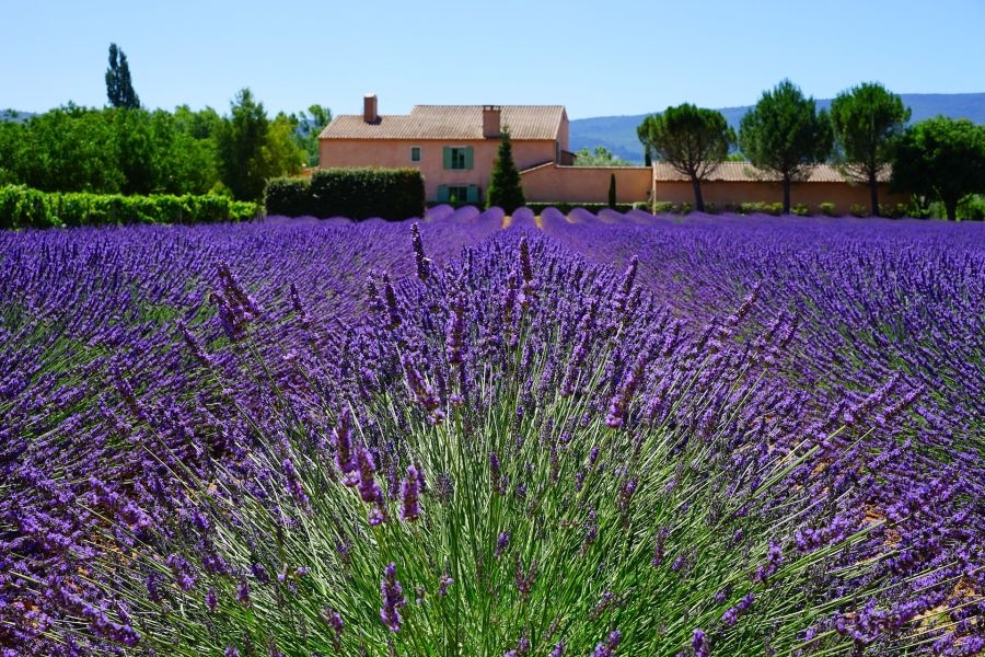 Die herrliche Provence