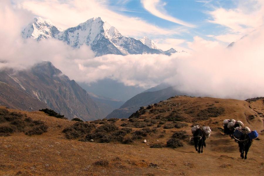 Im Land der Berge, Yaks, Sherpas und Stupas
