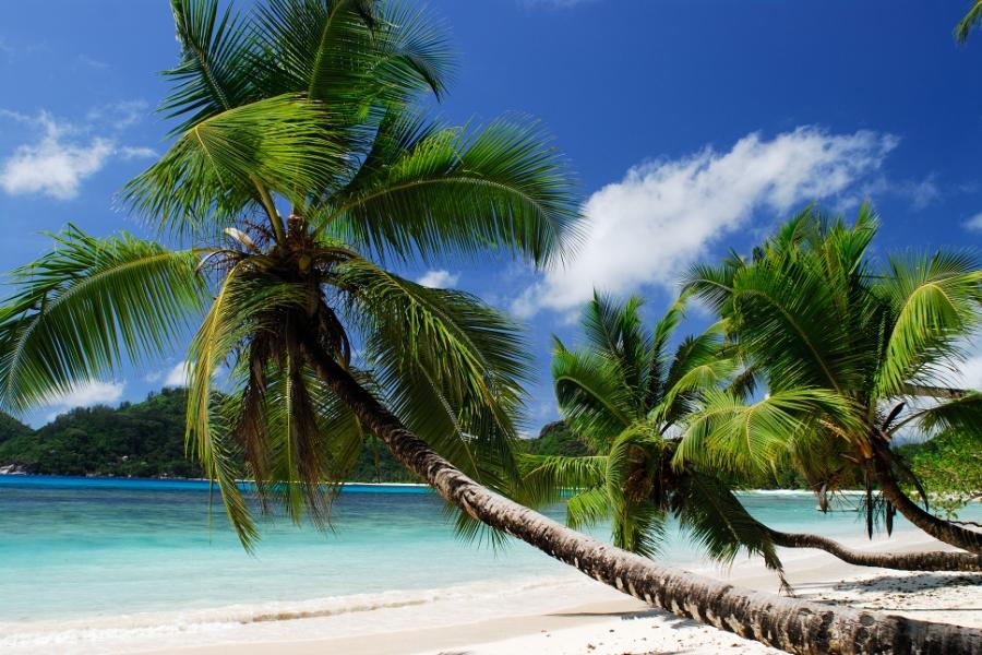 Die Seychellen sind ein Paradies par Excellence