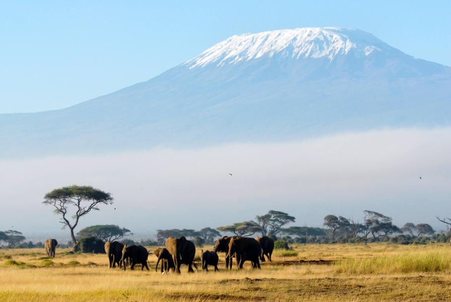 Tansania - ein Paradies für Safaris und Trekkings